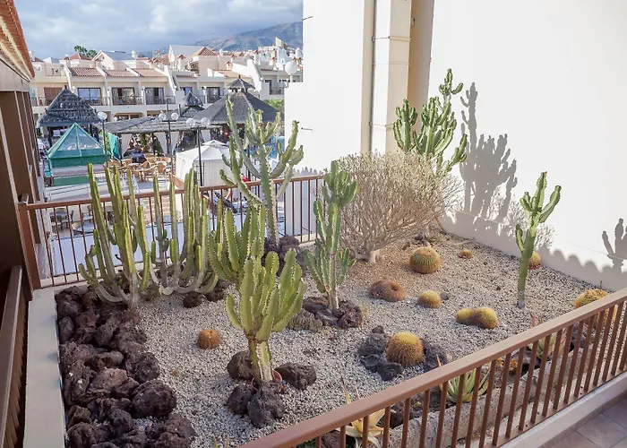 Appart hôtel Royal Sunset Club 4*